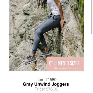 Zyia gray unwind joggers sz small